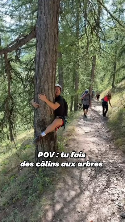 POV : TU FAIS DES CÂLINS AUX ARBRES