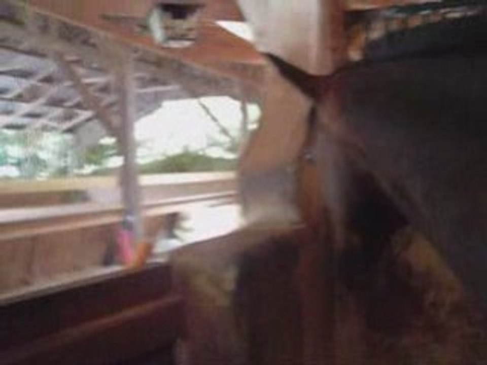 Galilée et le méchant bout de pain