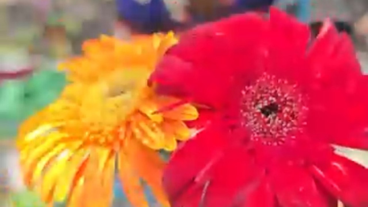Amazing Root Craft । Creating Flowers from Natu...