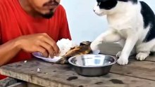 Funny Video 2026 #funny