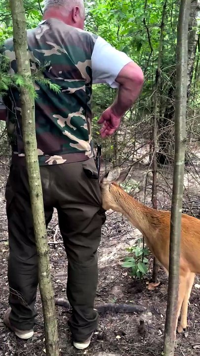 Animals lover #animal