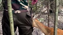 Animals lover #animal