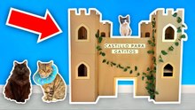 ¡construí un CASTILLO para mi GATITO!
