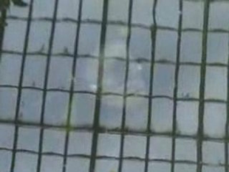 Gros poisson pas beau