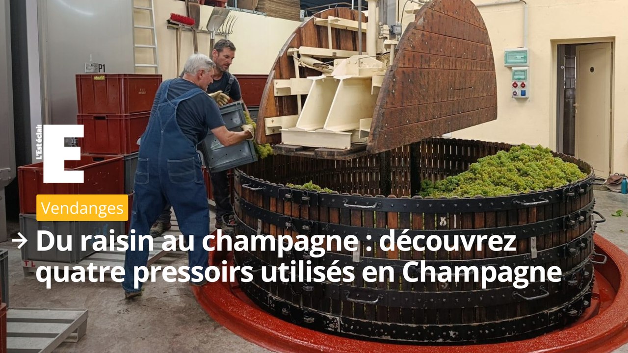 Du raisin au champagne : découvrez quatre press...