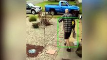Idiots of the Week  - Funny Fails Best Funny - Videos Compilation