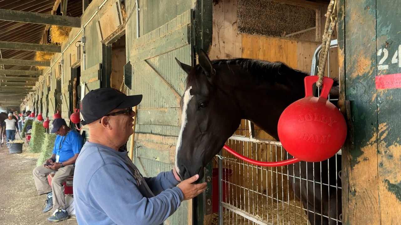 Down the Shedrow with Mark Casse, presented by...