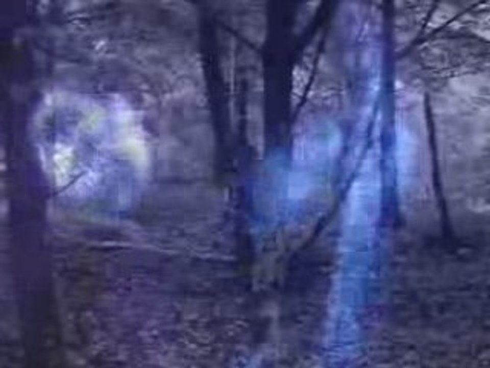 Sunn O))) - It took the night to believe