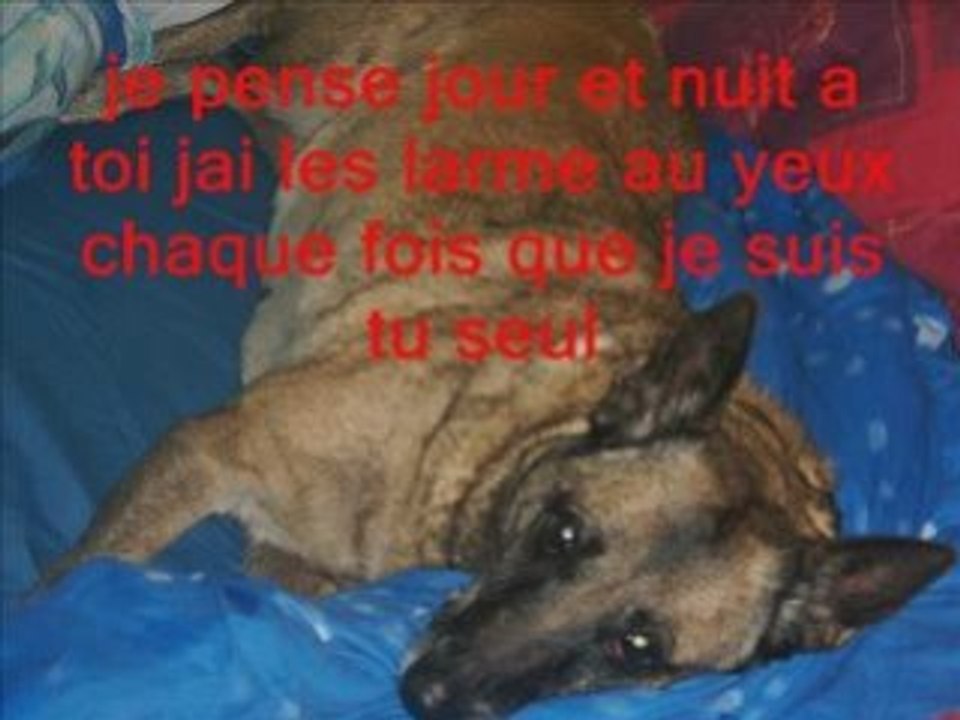 amour