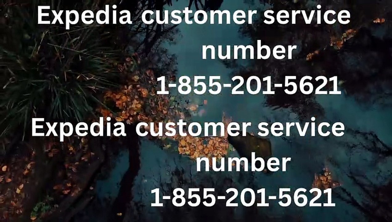 Full Expedia® Official Customer Care™ Contact Information