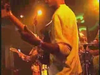 Culture live Wings of a Dove