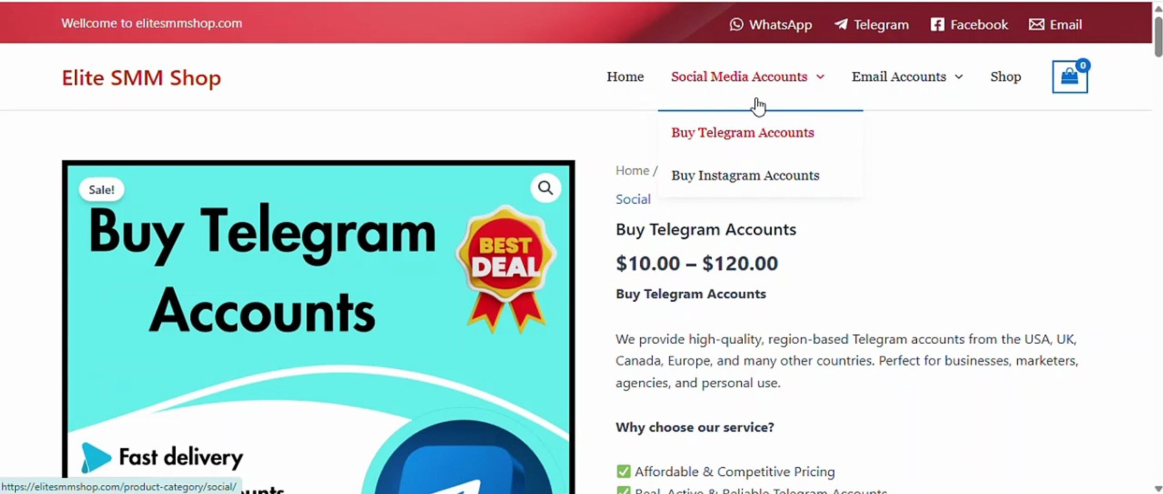Buy Telegrem Complete Telegram Business Management Solutions for Brands