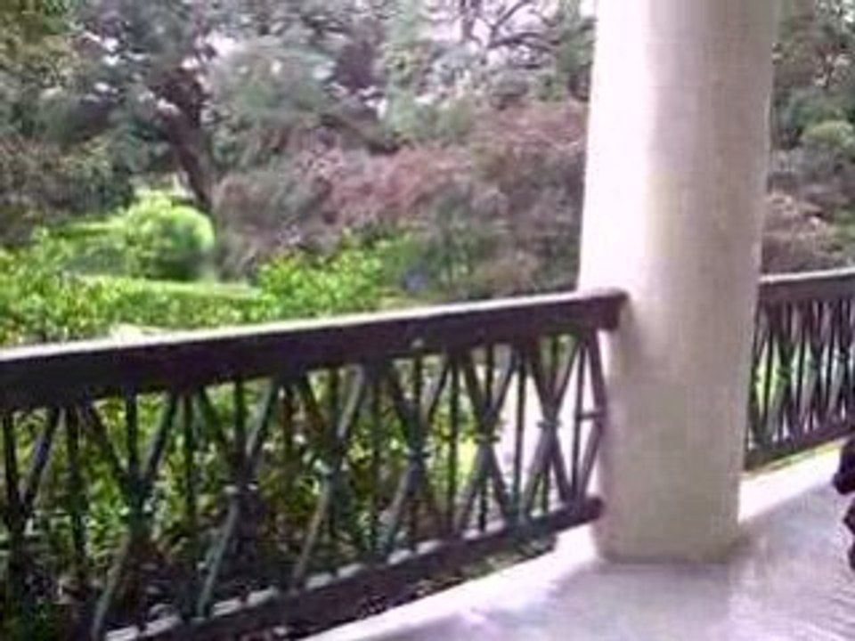 Oak Alley Plantation 2