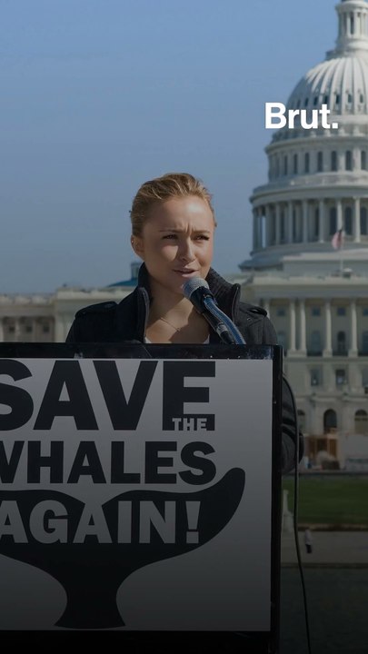 What did Hayden Panettiere stand for?