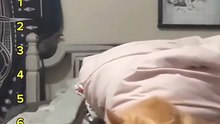 The Best Moment Cat's Right Spot 😸😸😸