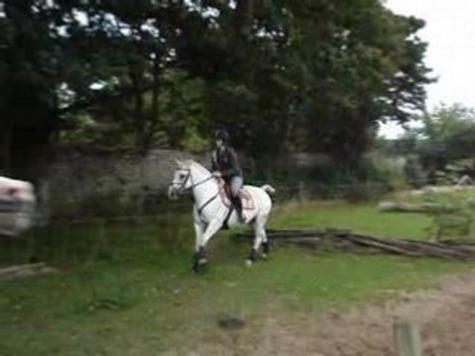 Dek en cross