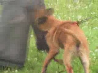 MOV040