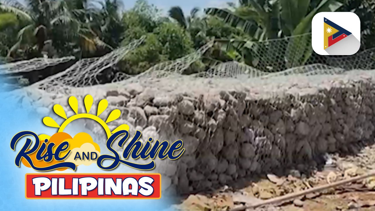 Gabion Walls sa kahabaan ng Talomo River sa Dav...