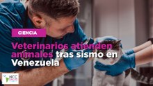 Veterinarios atienden animales tras sismo en Venezuela