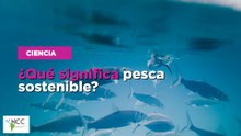 ¿Qué significa pesca sostenible?
