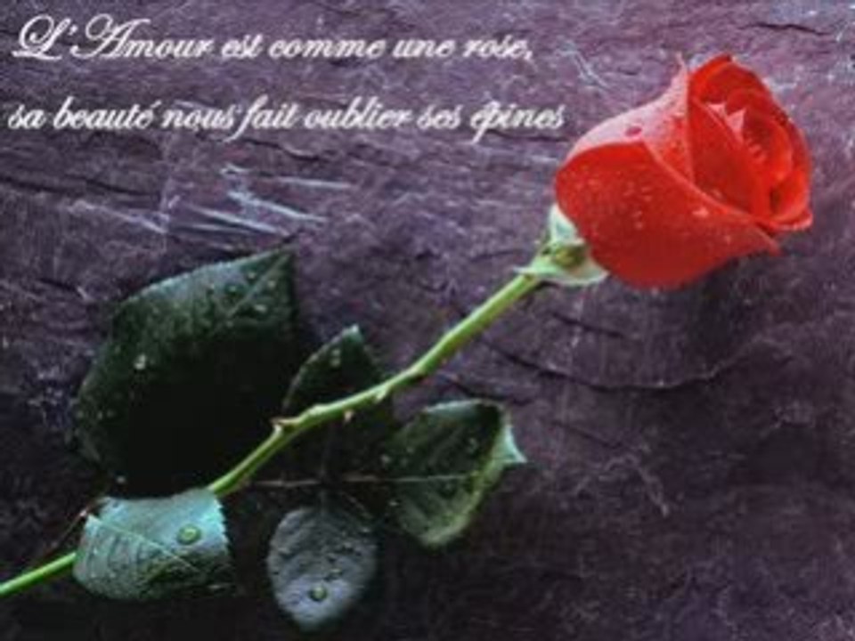 Je t'apprendrai l'amour