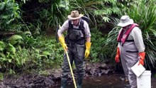 Scientists find new variant of ancient fish