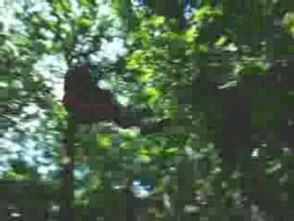 JM&GM _ Macadam sport 16-07-2008