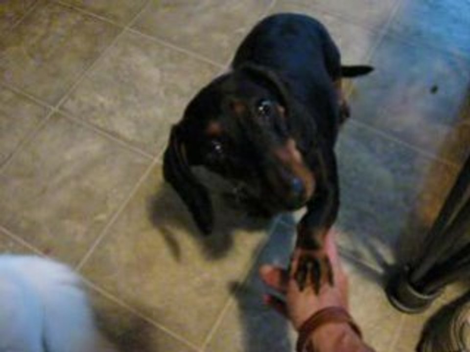 winzie