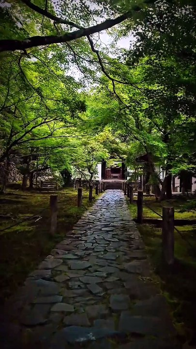 … 酬恩庵 一休寺  一休寺 Ikkuji Temple Kyoto Japan