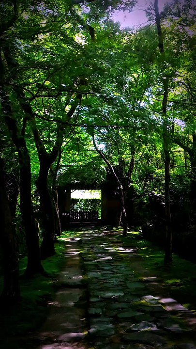 _湖東三山 金剛輪寺  松峯山 金剛輪寺 Kongourinji Temple Shiga Japan
