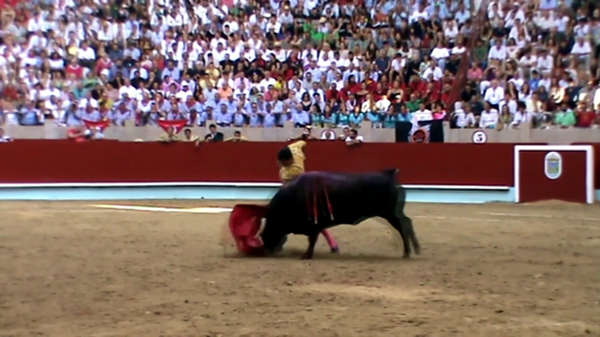 Grana y Oro con los festejo de El Puerto de Santa María, Huesca, Pontevedra, Marbella, Madrid, Socuéllamos, etc