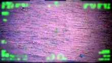 Pescadores passam cinco dias à deriva no mar dentro de uma caixa térmica 