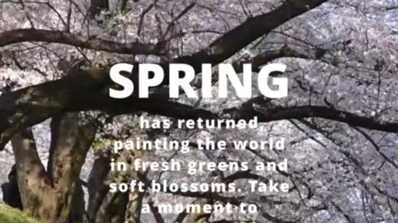 Nature is waking up, and so are you. 🌸🕊️