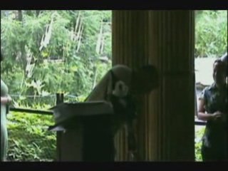 PU Dinner Hard Rock Check Presentation