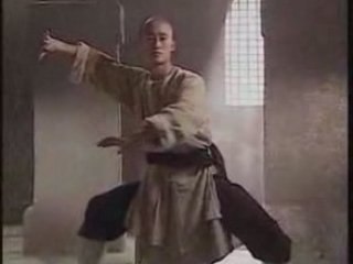 Wu jing master of tai chi