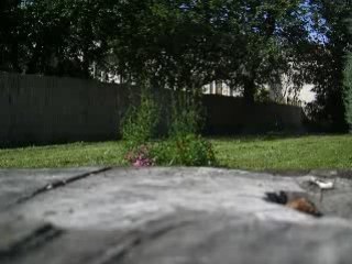 img 1