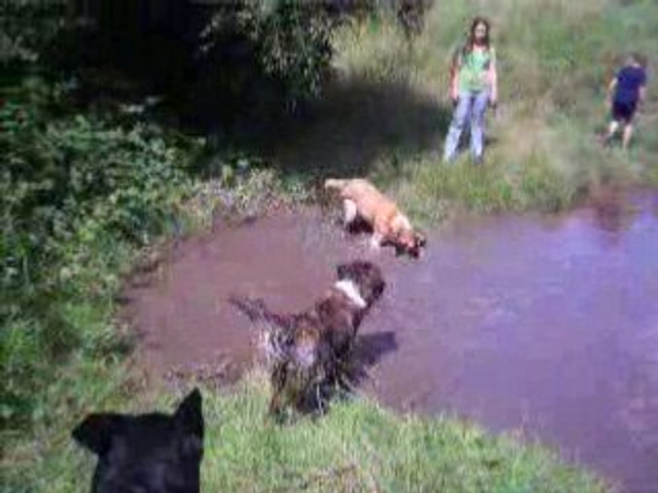 CHiEN