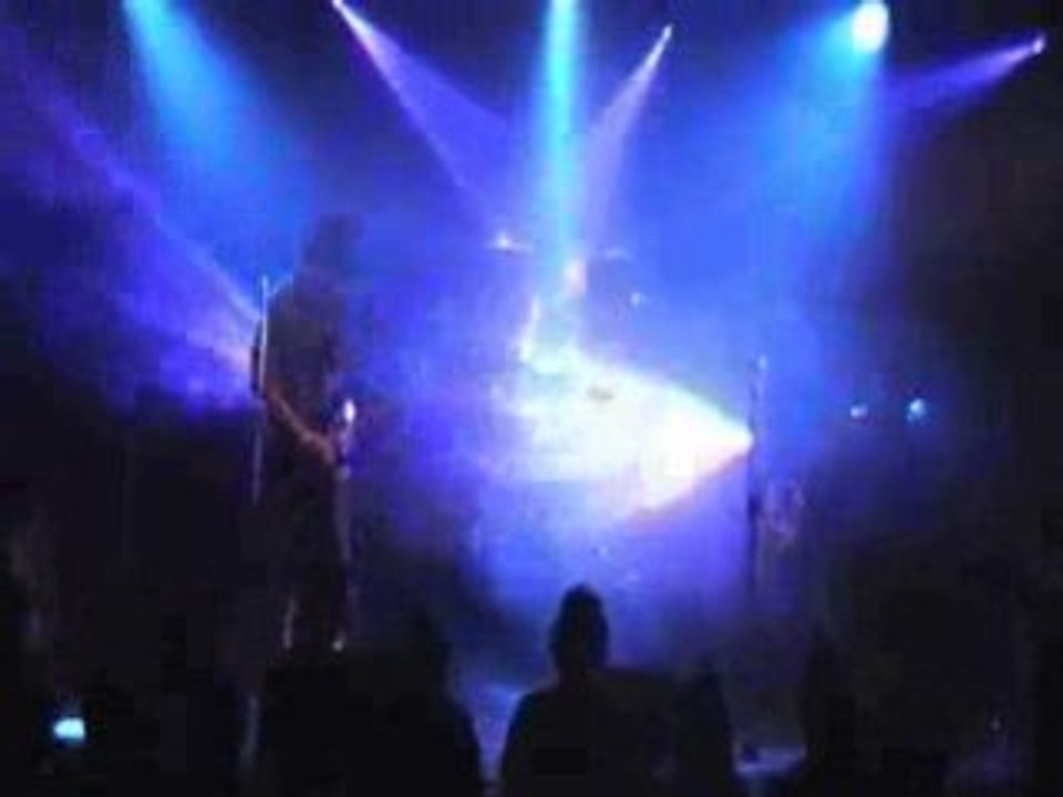 MSD - live