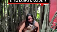 This Monkey Poses for Photos... Then His Next Move Steals the Show