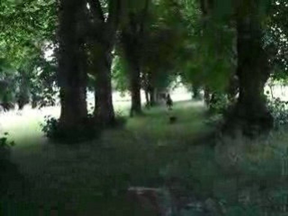 celtik