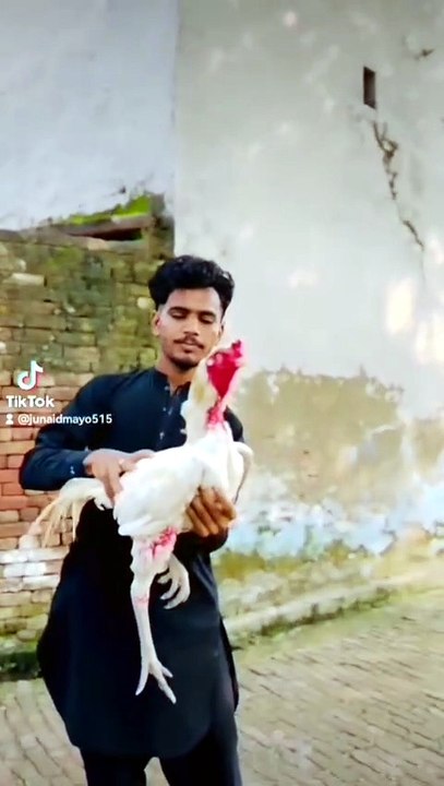 Funny videos 📸