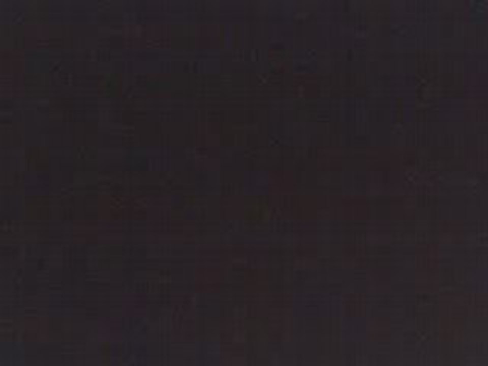 Webcam 1216495065912