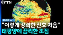 "역대 최강급 가능성"…전문가도 놀란 공포의 신호 [지금이뉴스] / YTN