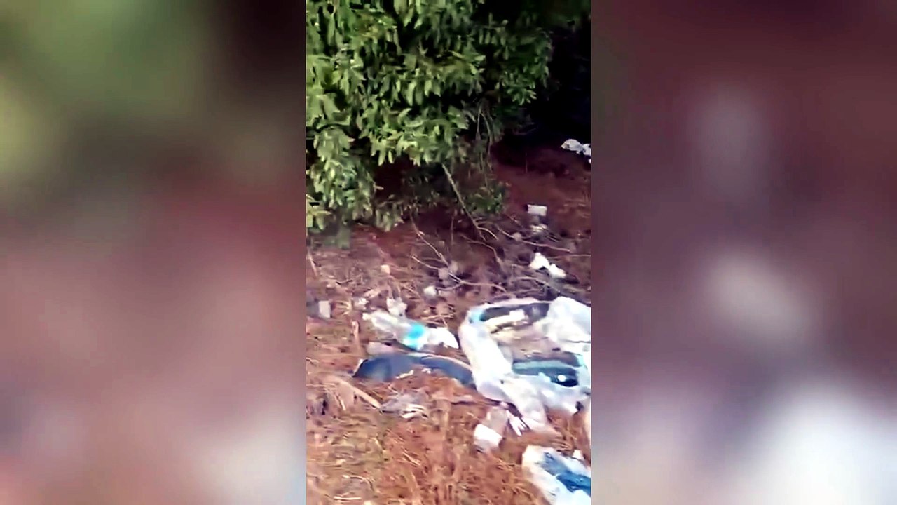 Platamona, rifiuti e degrado lungo la provinciale:??Situazione vergognosa?