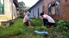 Vlog momen cabut rumbut - bersih  - bersih halaman kembali