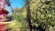 Worst Yard on the Block S01E12