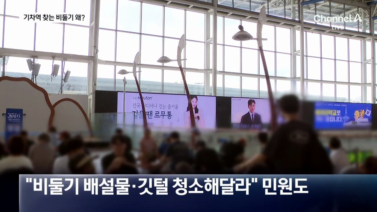 기차역 대합실 내부로 몰려드는 비둘기, 왜?