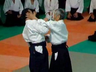 Tamura senseï Lesneven 2008 shomen uchi iriminage