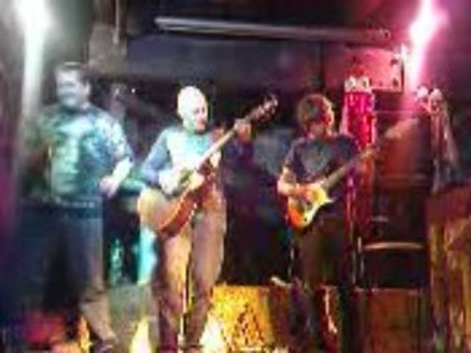 Premier concert de matou