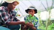 O DIA EM QUE ENTENDI A DIFERENÇA ENTRE FAMÍLIA E PARENTE